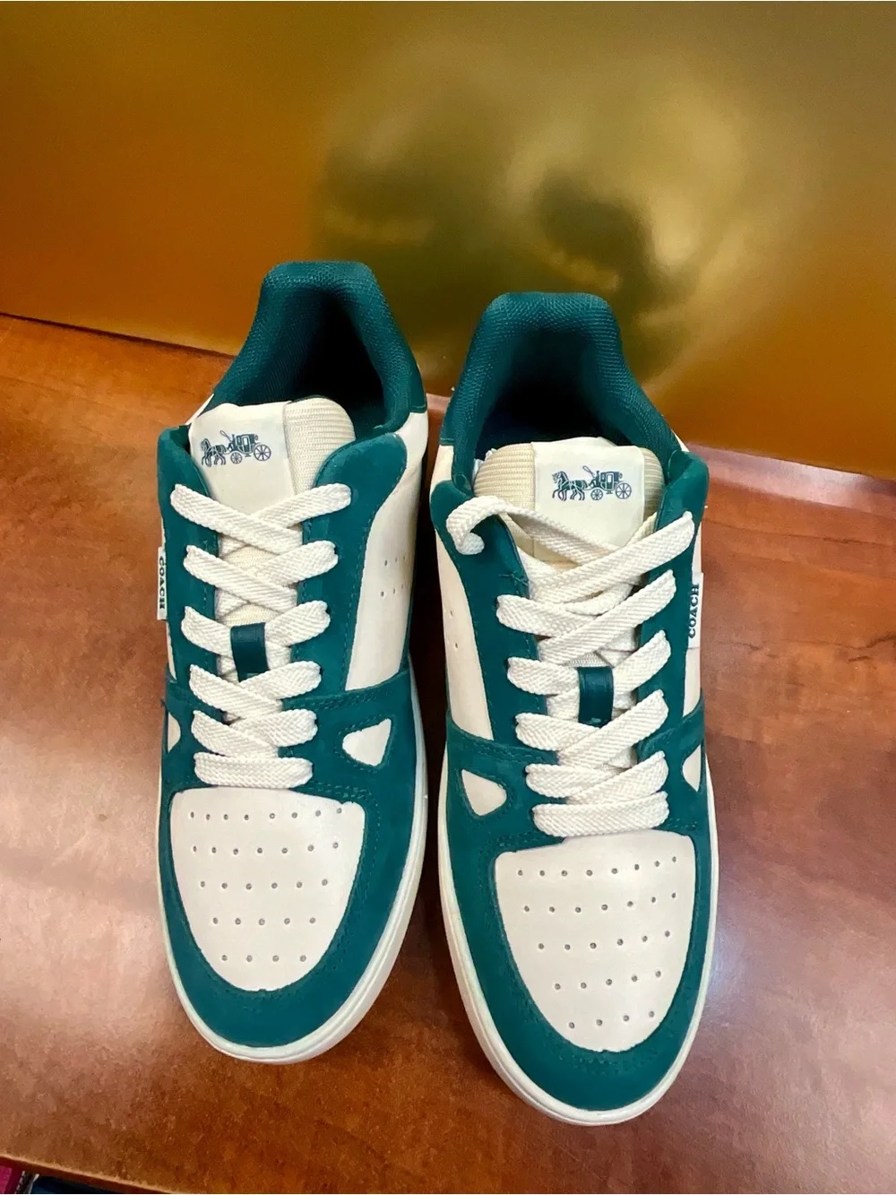 Coach Teal and White Low-Top Sneakers